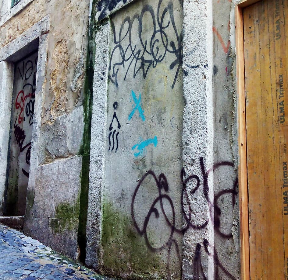 The Beginning of Our Projects is Full of Discoveries - Image 3